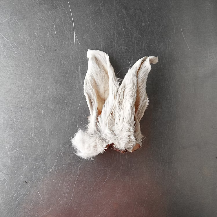 Rabbit Specific Dog Treats