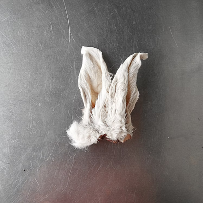 Rabbit Specific Dog Treats